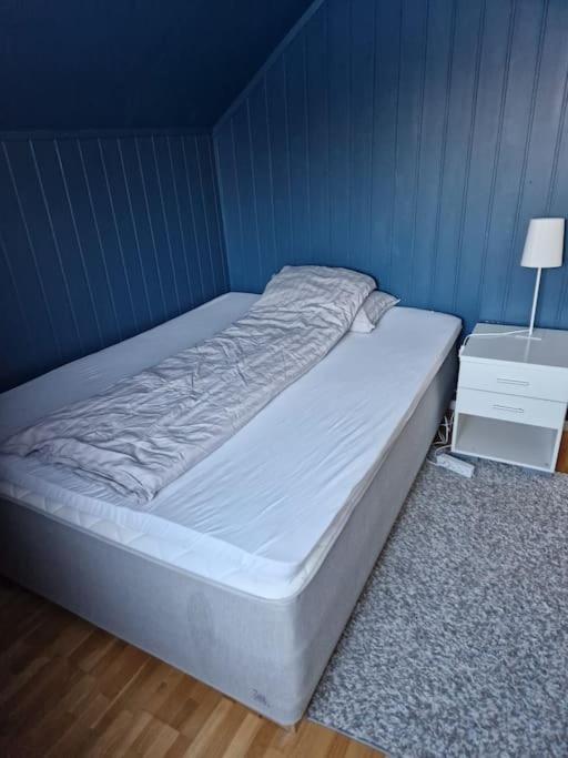 3 Bedrooms&2bathrooms House With Amazing View * Tromsø