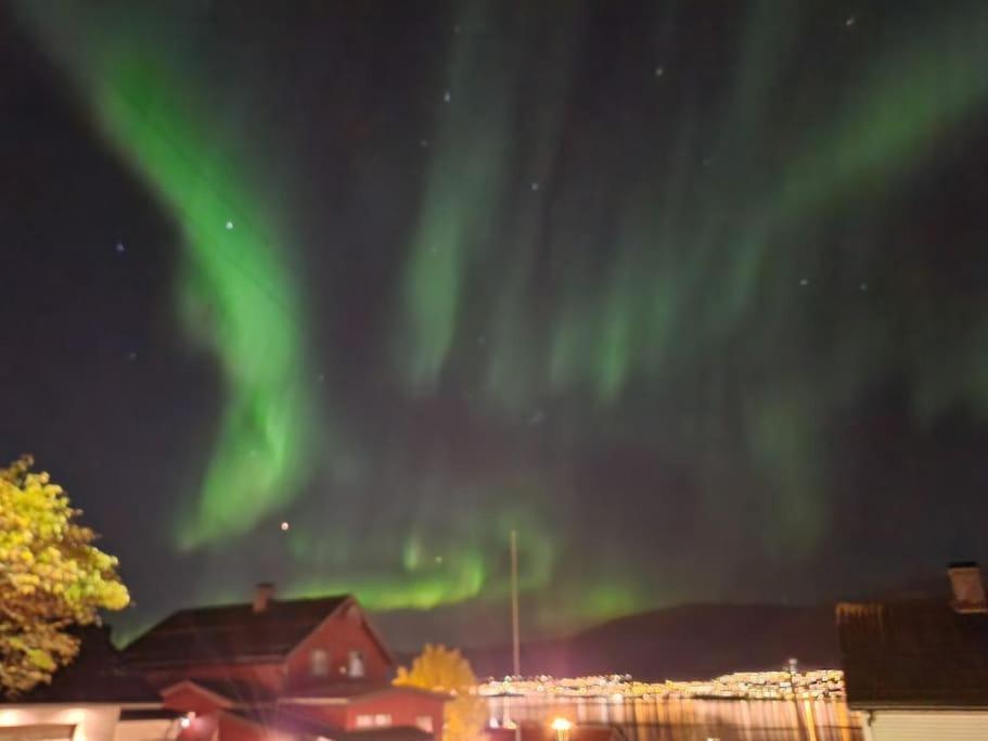 3 Bedrooms&2bathrooms House With Amazing View * Tromsø